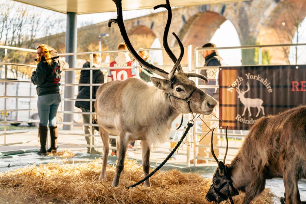Winter wonderland at Burnley college