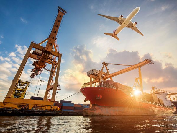Fuelling Export Growth: Final Skills Bootcamp Session Empowers Businesses for Global Success